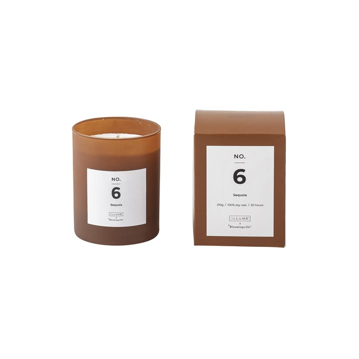 Candela profumata NO. 6 Sequoia  - 200 g + giftbox - Illume x Bloomingville