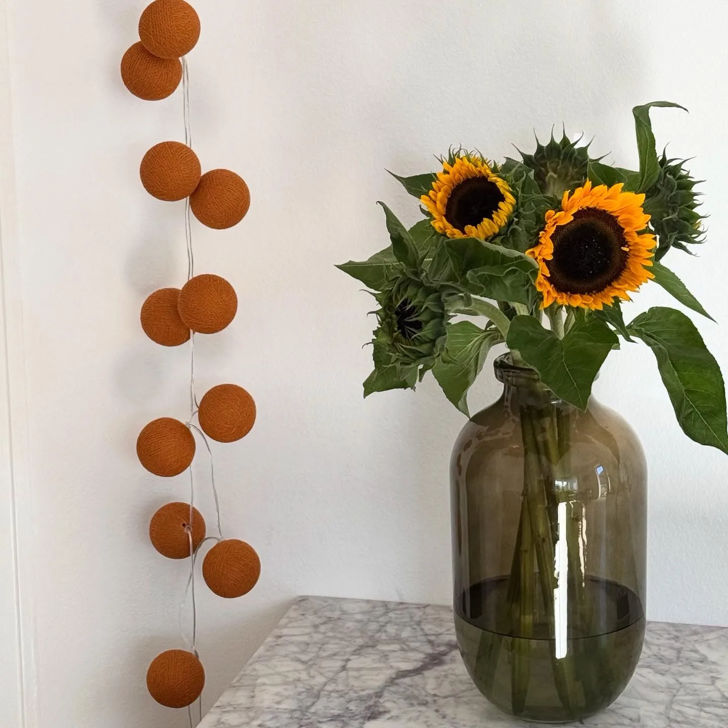 Ghirlanda luminosa Irislights, Terracotta, 20 palline Irislights