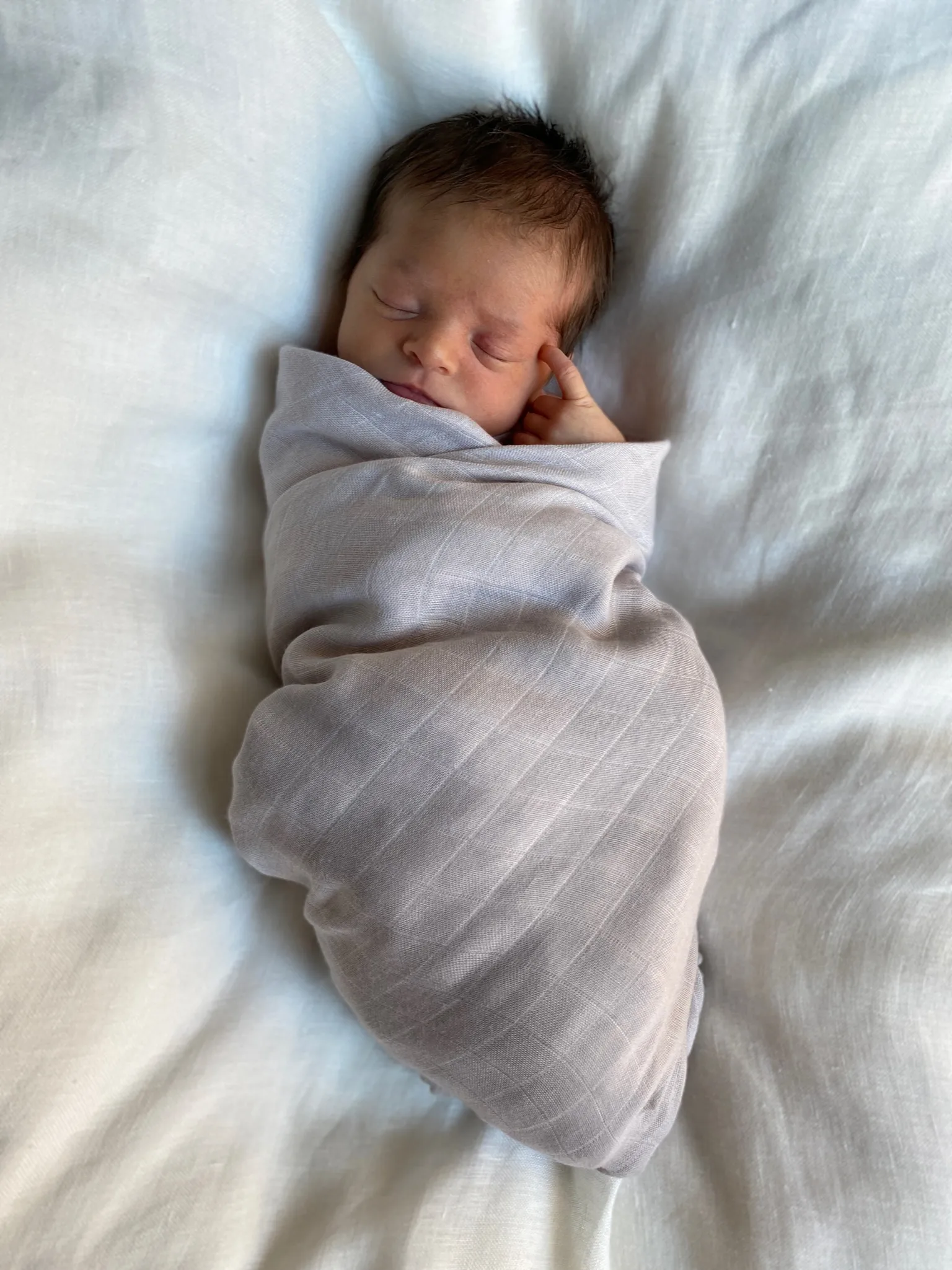 Copertina Pom Pom 120x120 cm confezione da 2, Perla & Grigio polveroso Jack o Juno