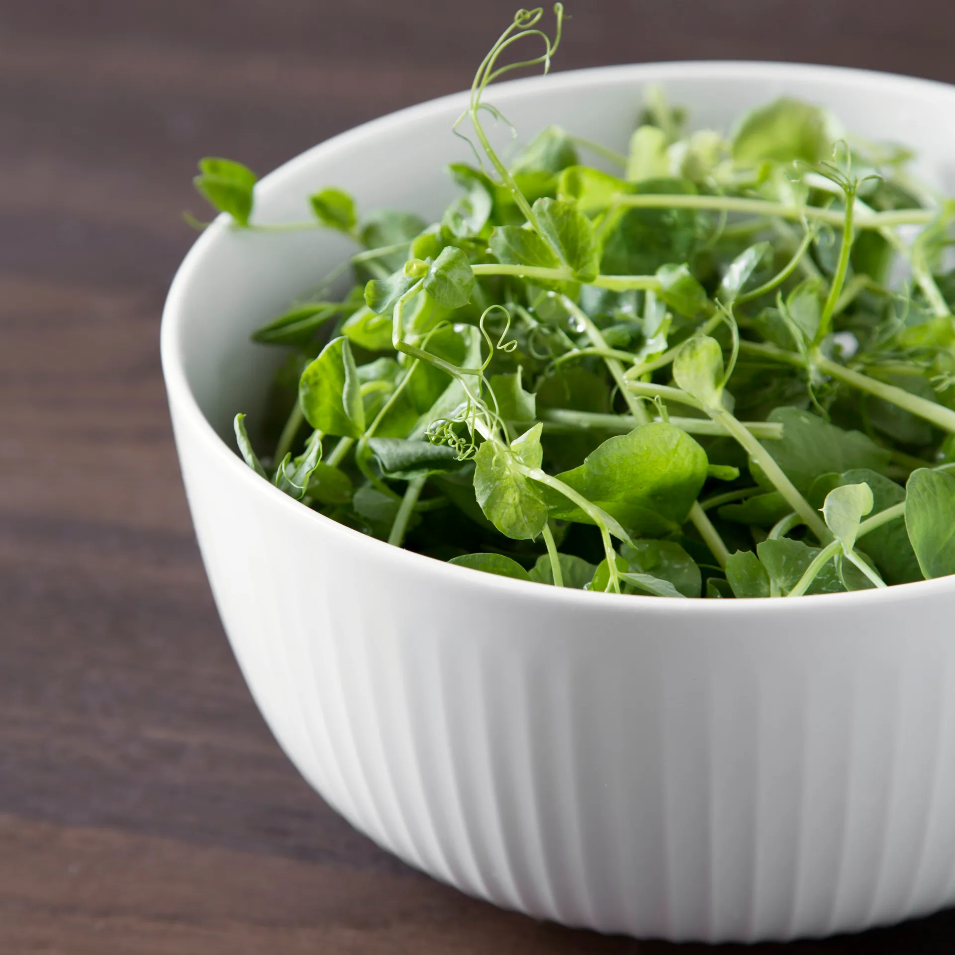 Ciotola Hammershøi Ø 21 cm, bianco Kähler