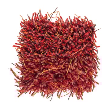 Tappeto Moss 170x240 cm - Deep coral 100 - Kasthall