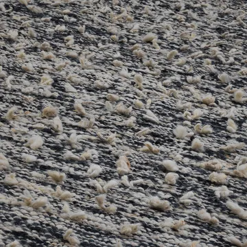 Tappeto Woolly - Black/white, 170x240 cm - Kateha