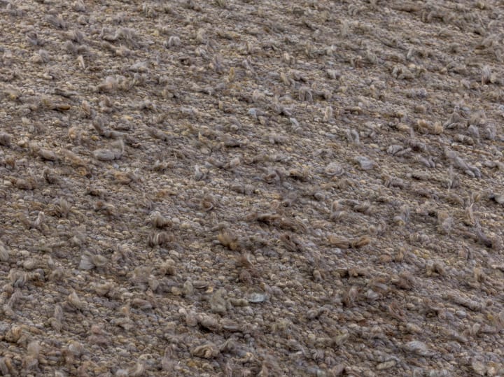 Tappeto Woolly - marrone chiaro, 170x240 cm  - Kateha