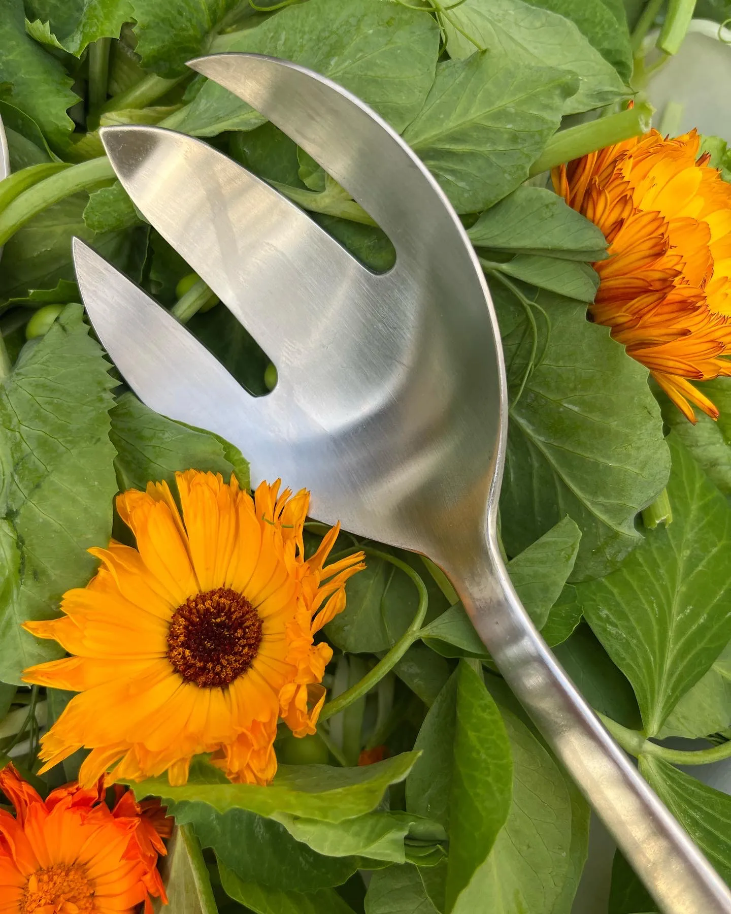 Forchetta da portata Grand Prix 23,5 cm, Polished steel Kay Bojesen