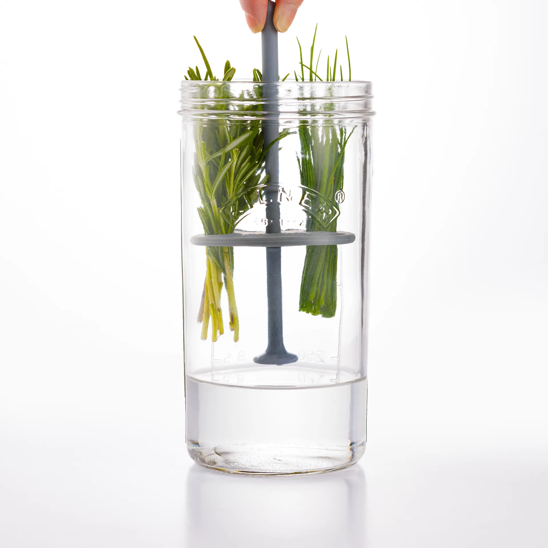 Conservazione erbe Kilner, Chiaro Kilner