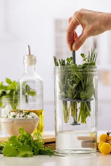 Conservazione erbe Kilner - Chiaro - Kilner