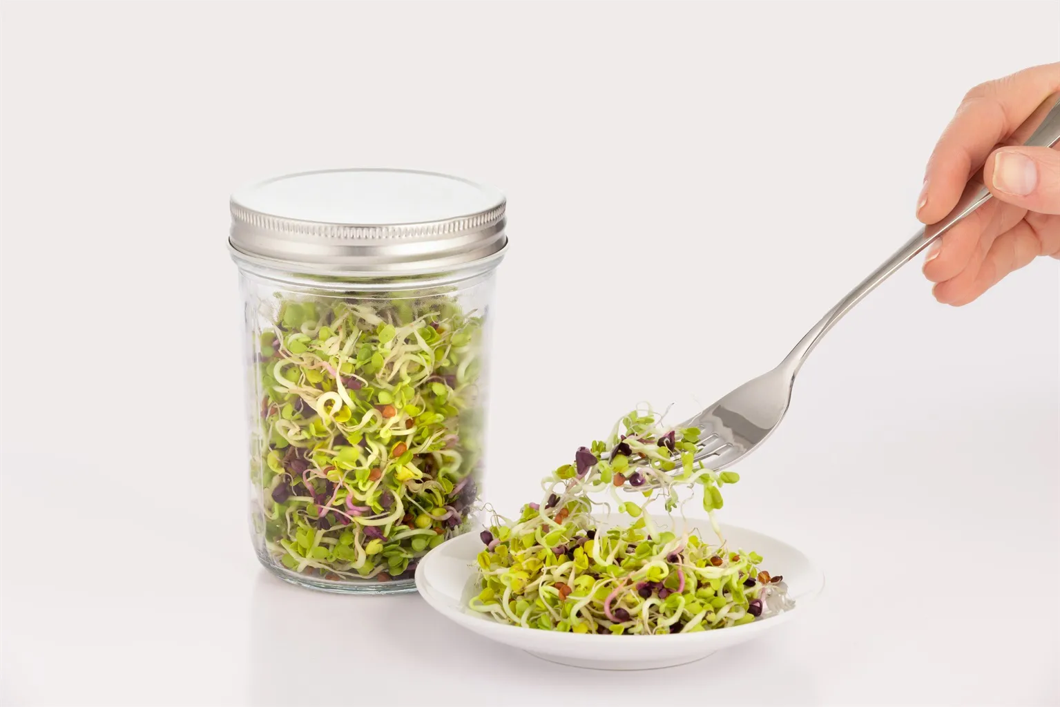 Set per germinazione Kilner, Chiaro-bianco, 500 ml Kilner