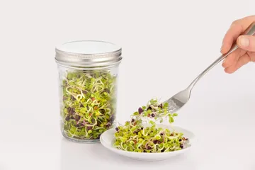 Set per germinazione Kilner - Chiaro-bianco, 500 ml - Kilner