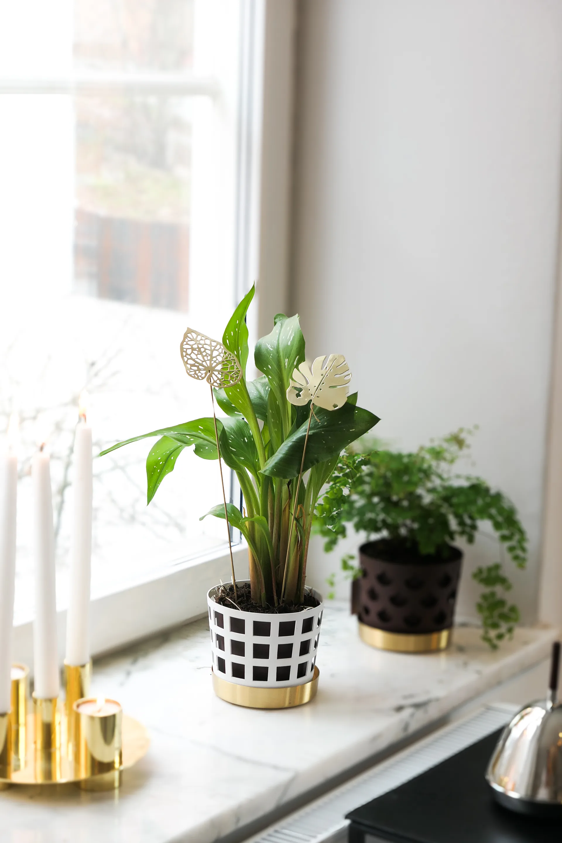 Decorazione foglie Brass 2 pezzi, Acqua KLONG