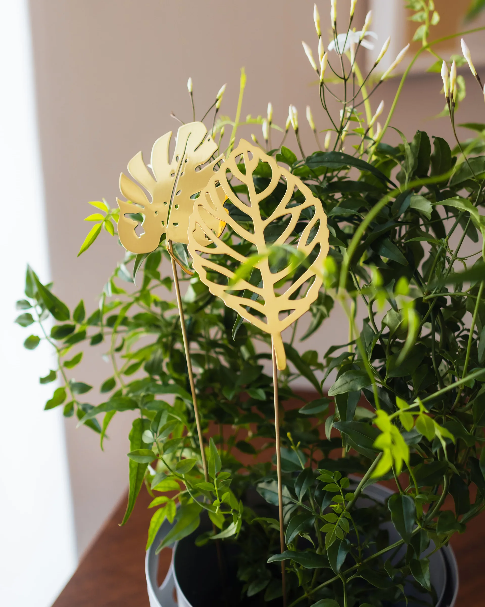 Decorazione foglie Brass 2 pezzi, Legno KLONG