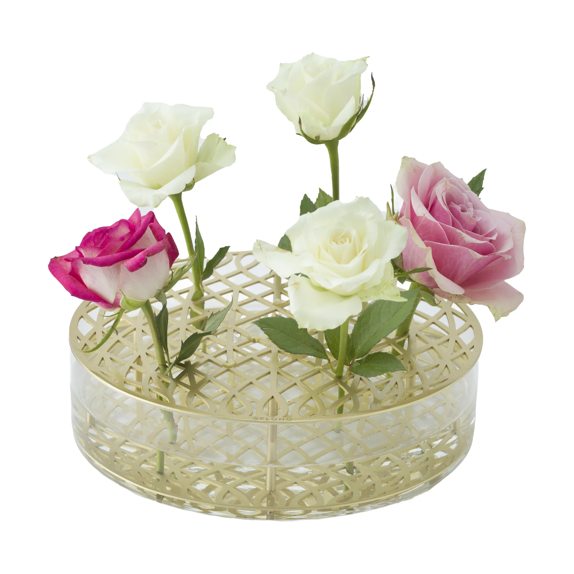 Vaso Äng, optimum, Ottone KLONG