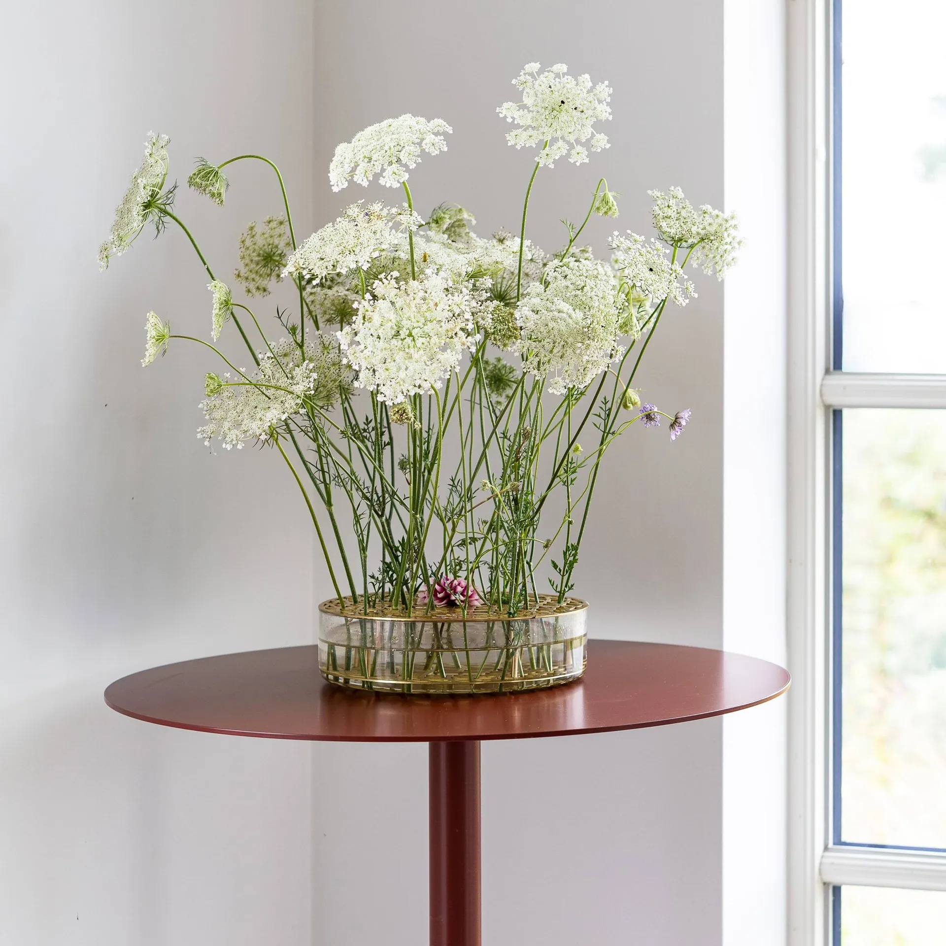 Vaso Äng, optimum, Ottone KLONG