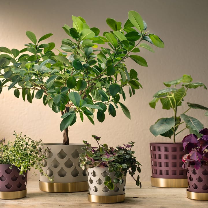 Vaso da fiori Trio Drop beige con piattino in ottone, Medio Ø 18 cm KLONG