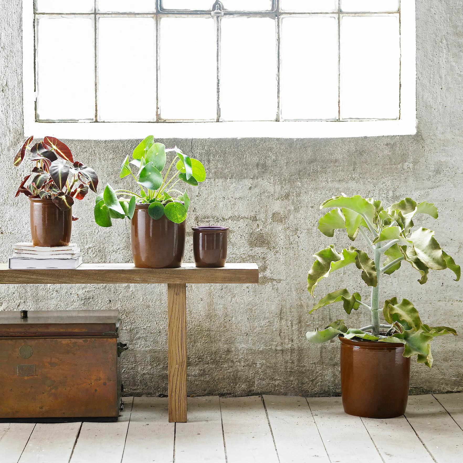 Barattolo Pickle 0,5 L, marrone Knabstrup Keramik