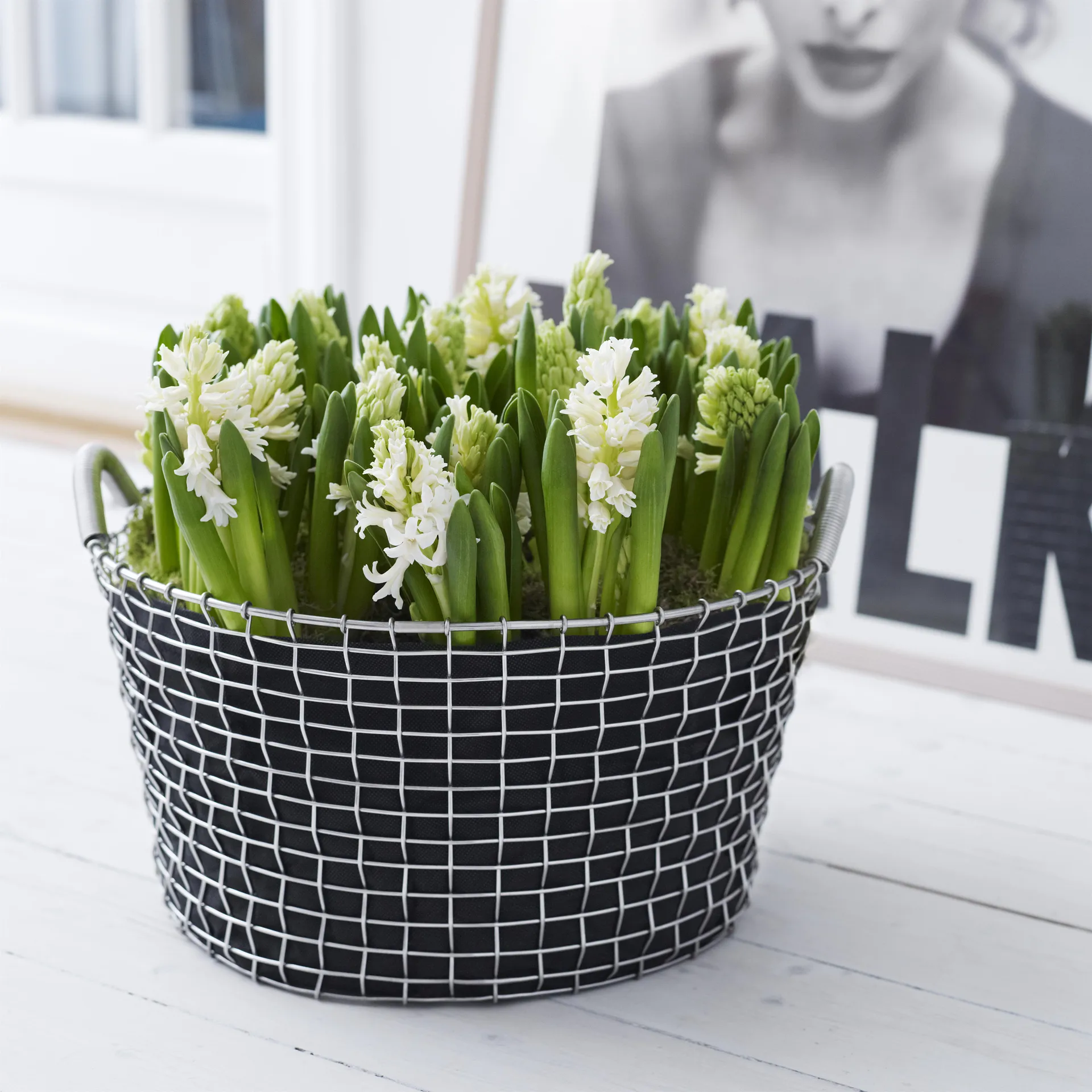 Cestino Korbo classic 35, acciaio galvanizzato KORBO