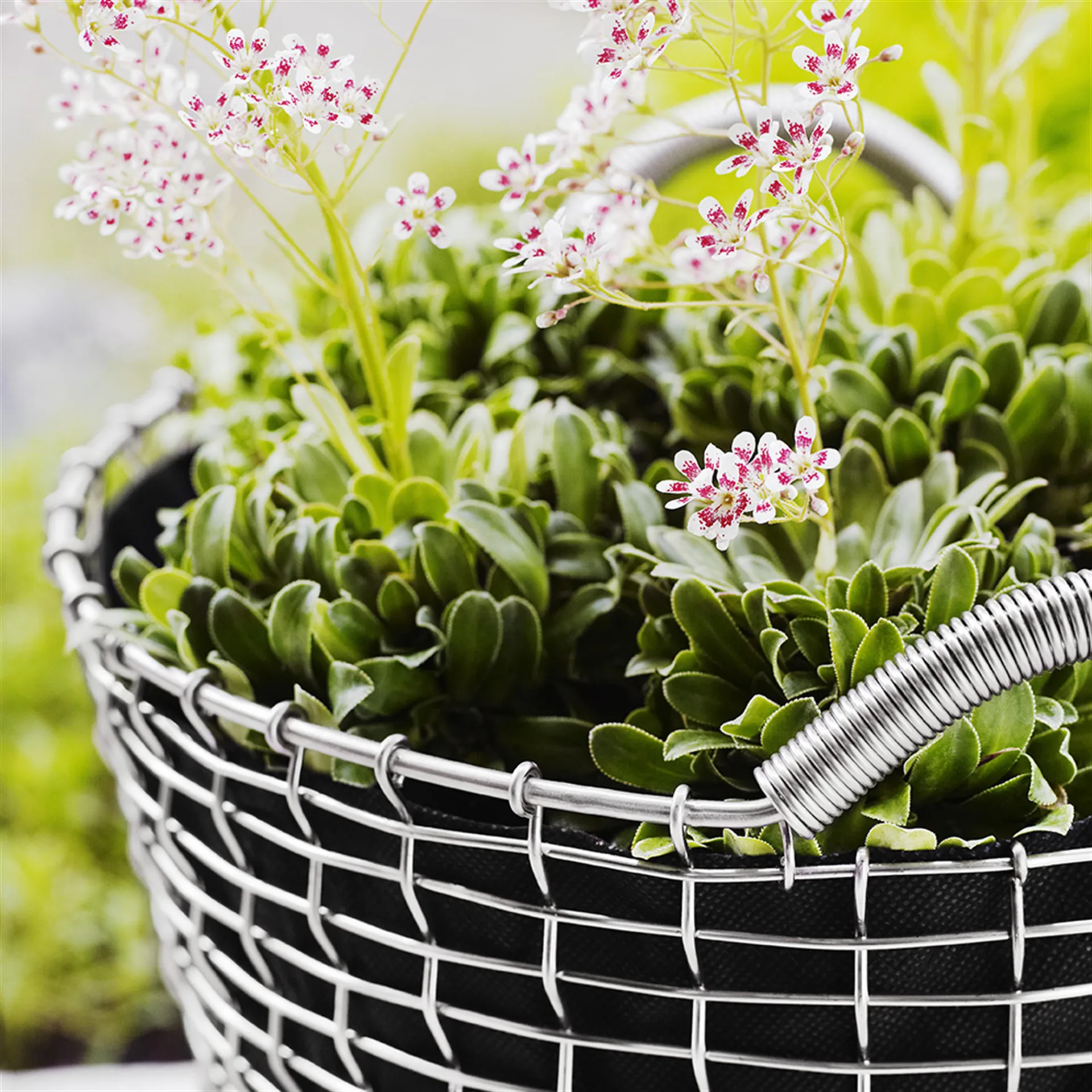 Cestino Korbo classic 35, acciaio resistente agli acidi KORBO