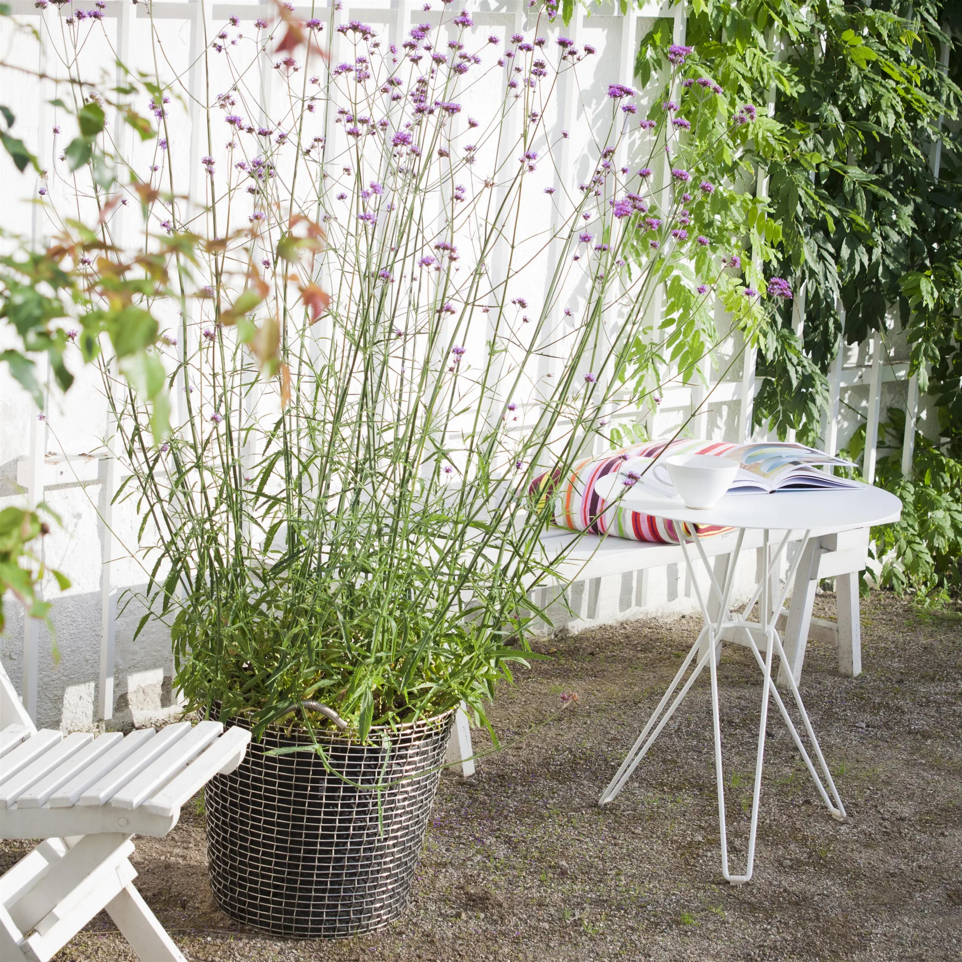 Cestino Korbo classic 65, acciaio resistente agli acidi KORBO