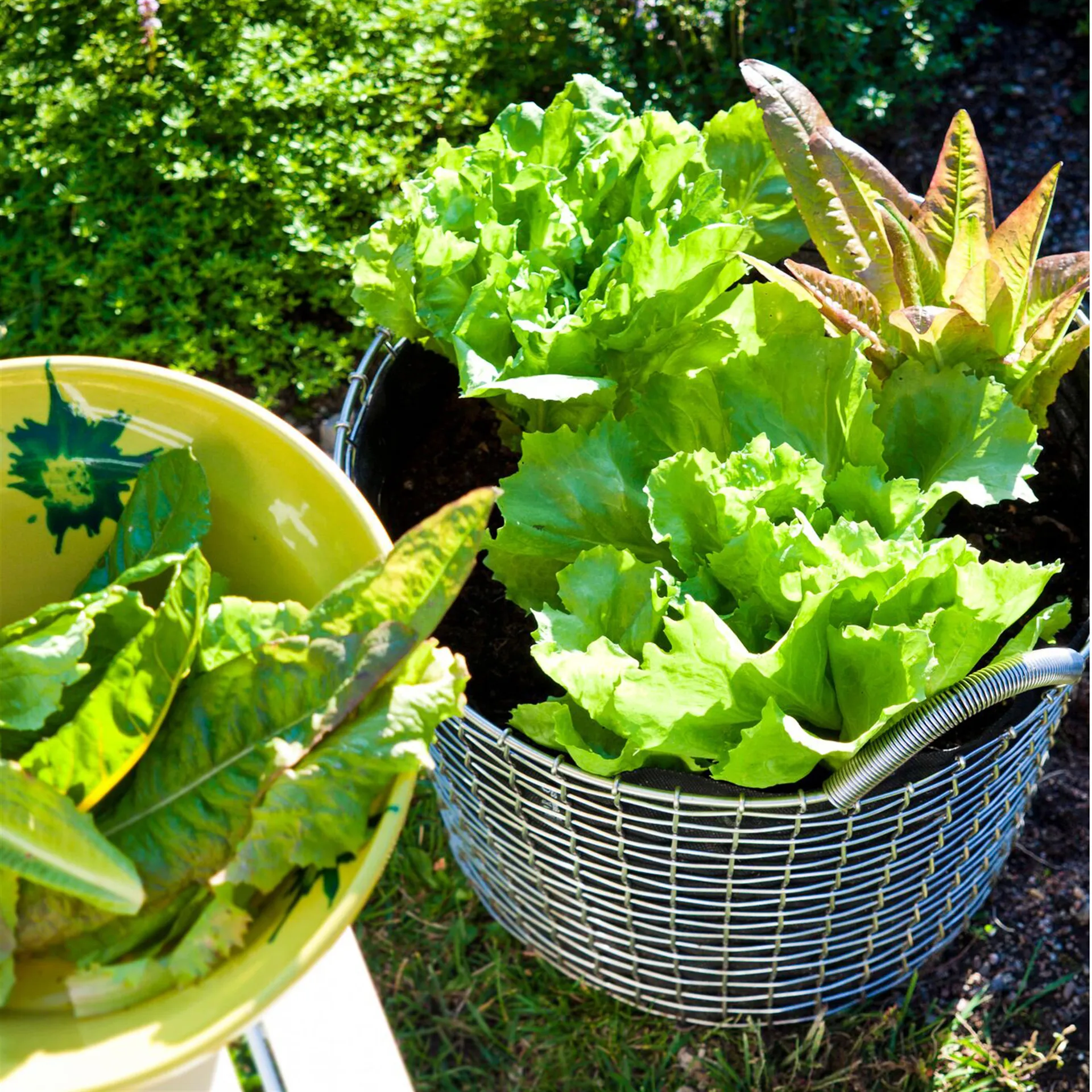 Pattumiera Korbo 24, acciaio galvanizzato KORBO