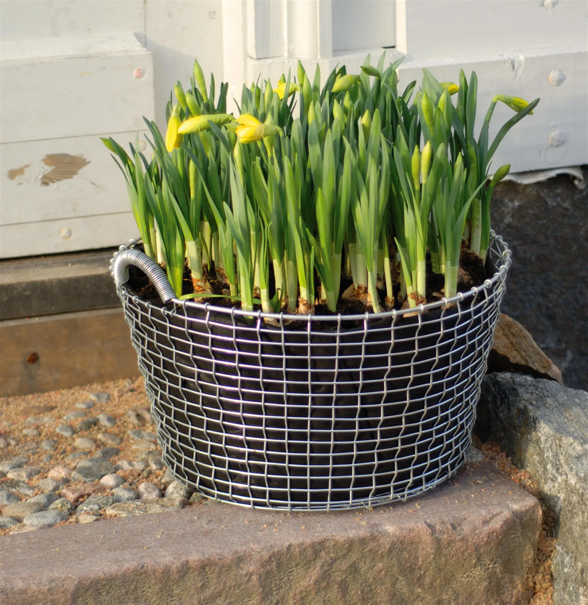 Sacchetto piante per cestino Korbo confezione da 3, 24 L KORBO