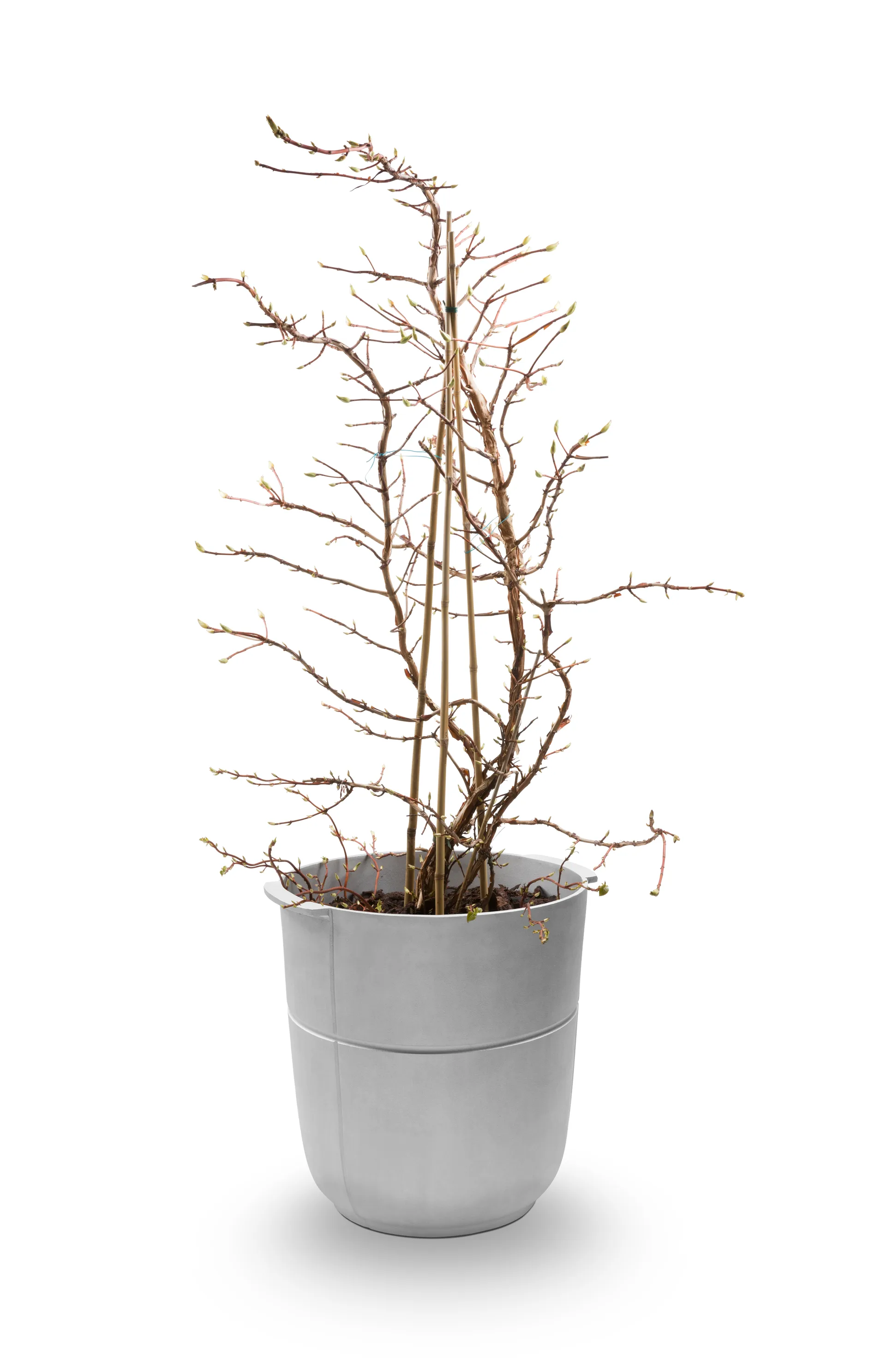 Vaso Linea n. 1 alto, Alluminio KORBO