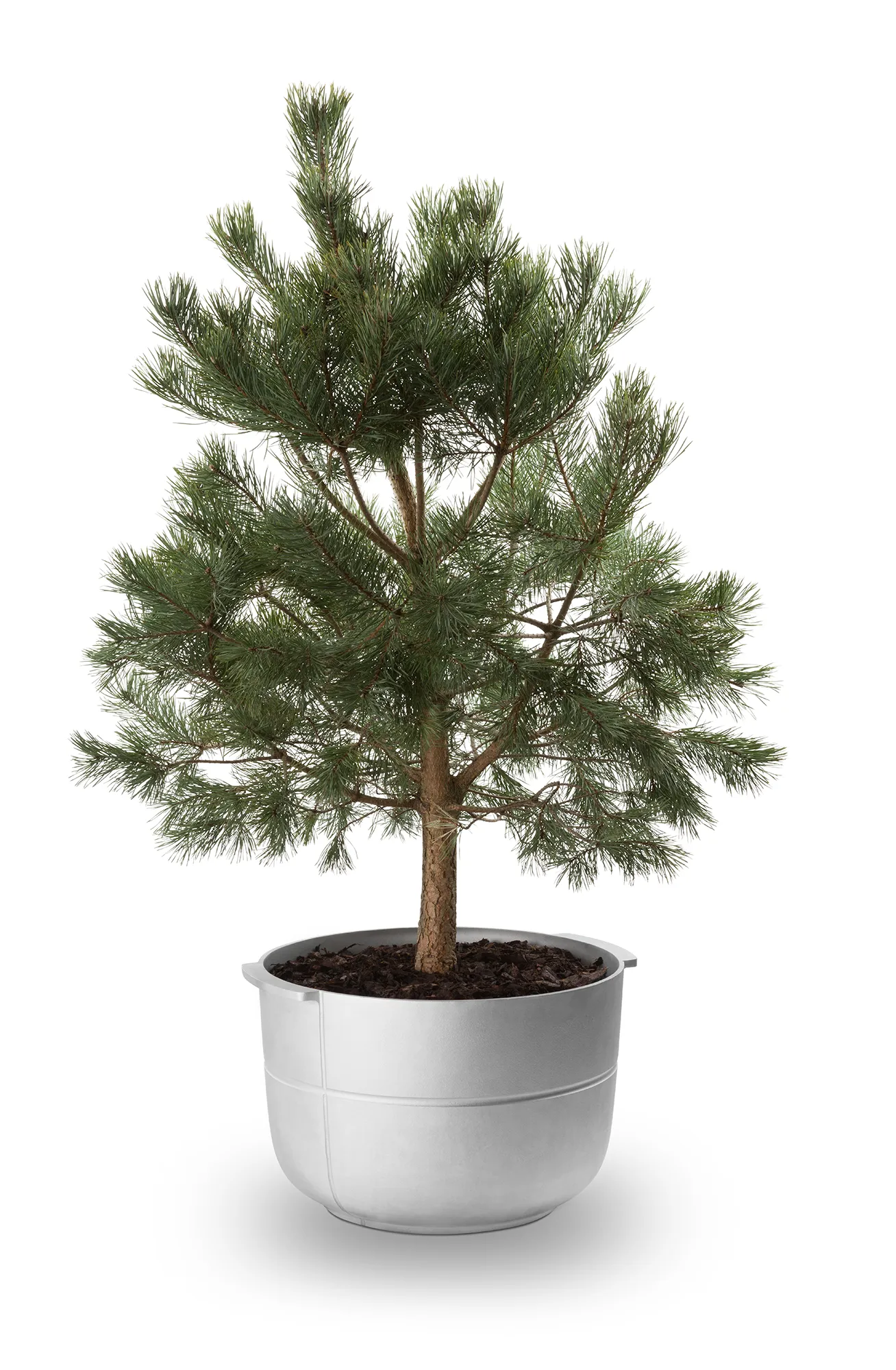 Vaso Linea nr 2 medio, Alluminio KORBO