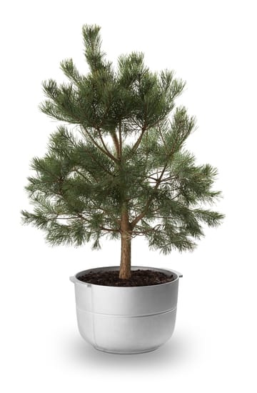 Vaso Linea nr 2 medio - Alluminio - KORBO