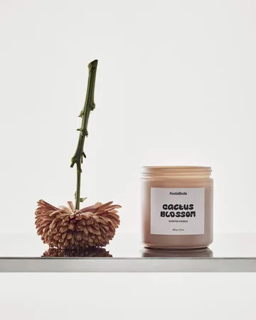 Candela profumata Mind - Cactus Blossom, 330 g - Kosta Boda