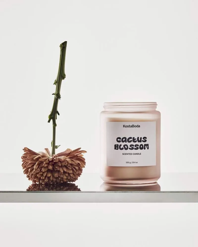 Candela profumata Mind, Cactus Blossom, 550 g Kosta Boda