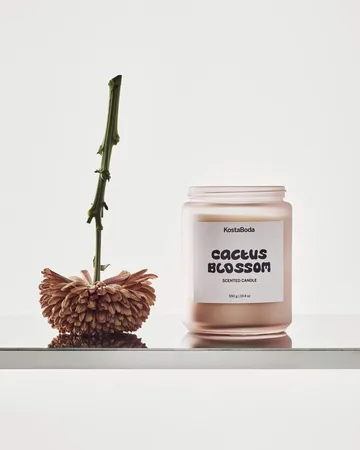 Candela profumata Mind - Cactus Blossom, 550 g - Kosta Boda
