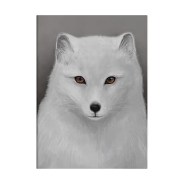 Poster Fjällräv - 30x40 cm - Kunskapstavlan®