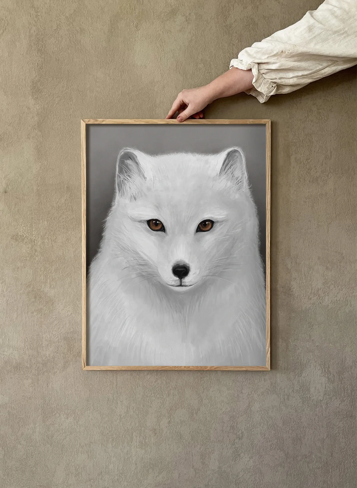 Poster Fjällräv, 30x40 cm Kunskapstavlan®