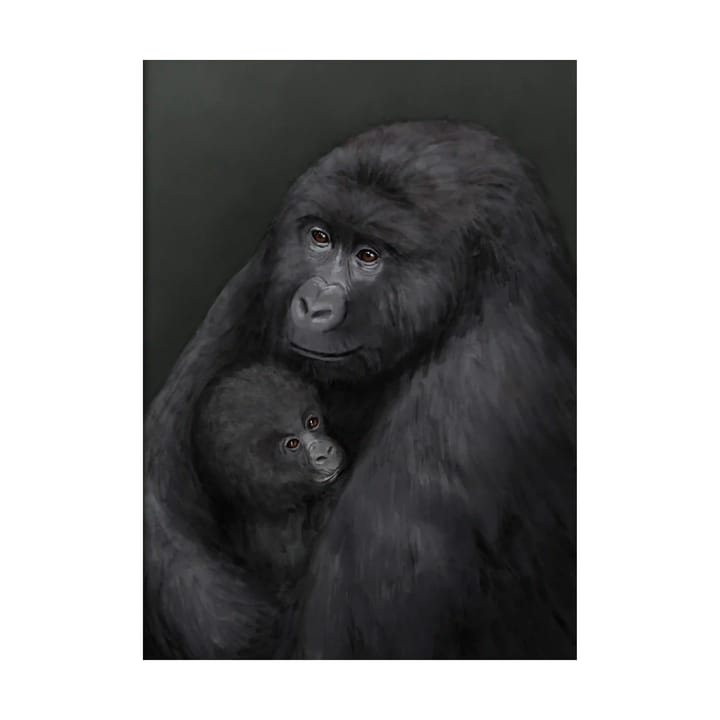 Poster gorilla di montagna - 50x70 cm - Kunskapstavlan®