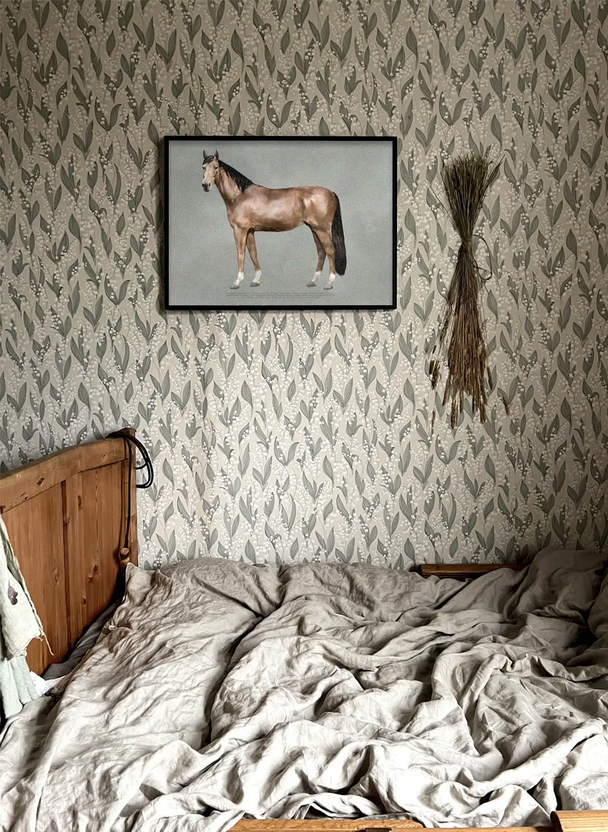 Poster The anatomy of the horse, 50x70 cm Kunskapstavlan®