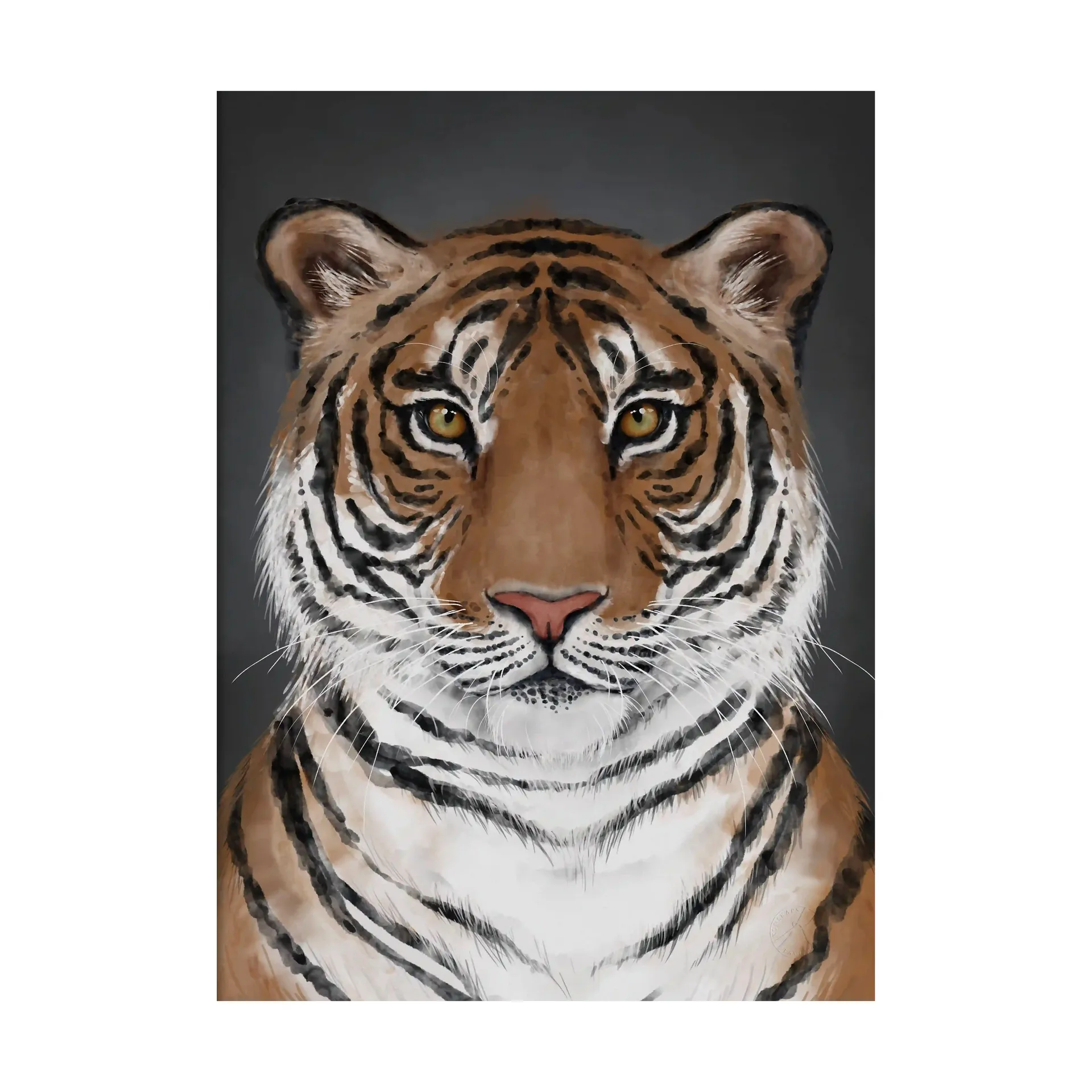 Poster tigre, 50x70 cm Kunskapstavlan®