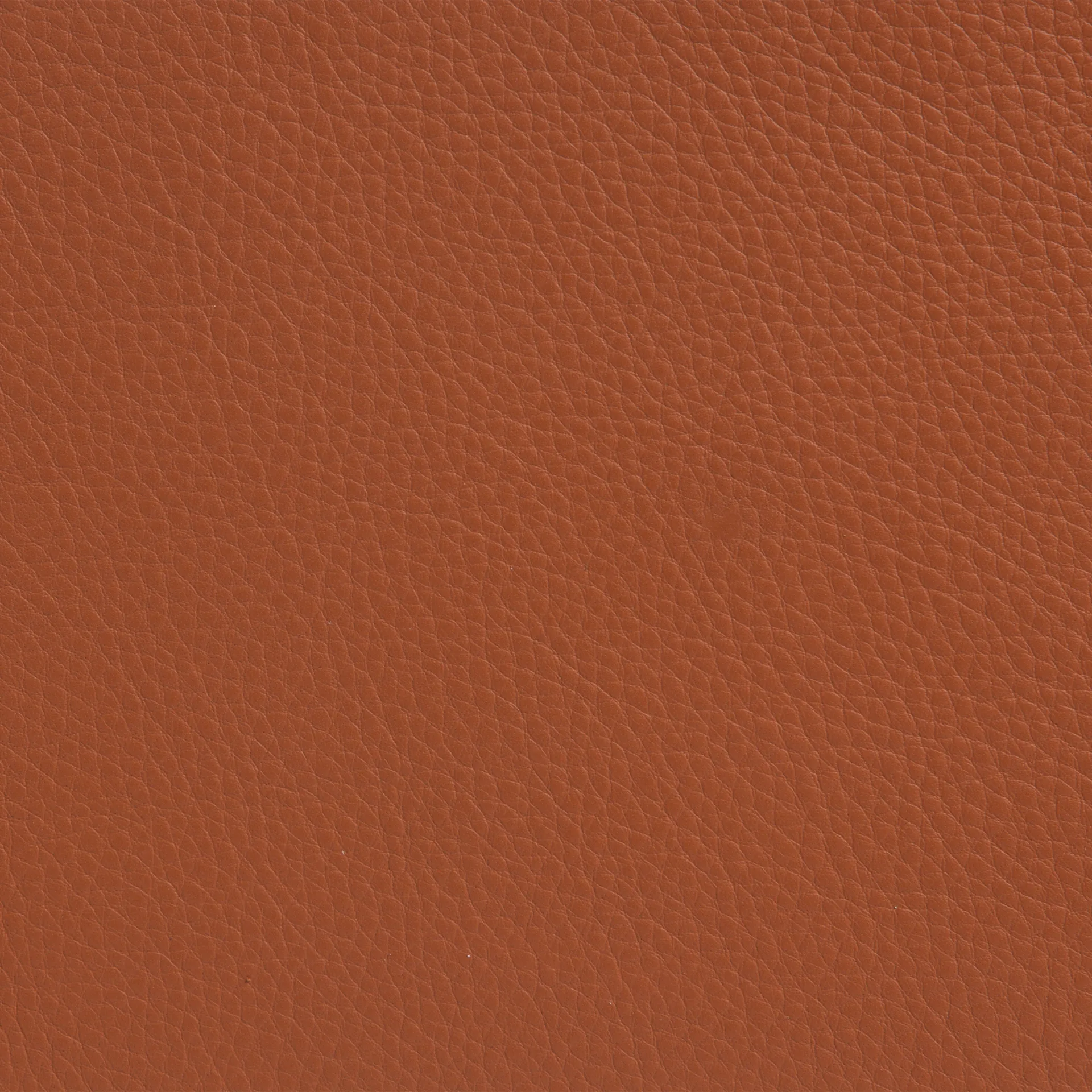 Poltrona Sunny con braccioli, Pelle Cognac-telaio cromato con ruote Lammhults