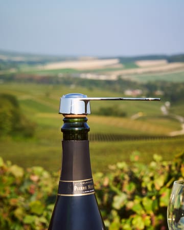 Apribottiglie champagne Pince à bouchon  - Argento - L'Atelier du Vin