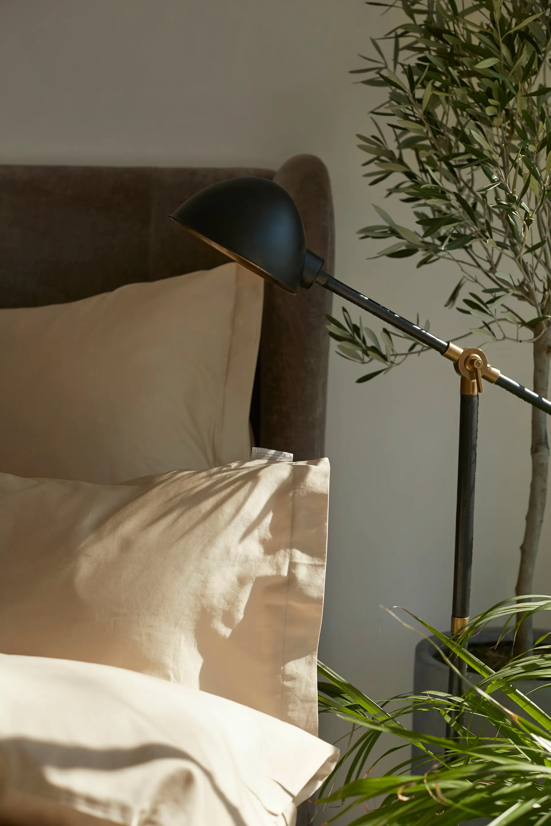 Copripiumino Hotel Cotton Sateen 220x220 cm, Beige chiaro Lexington