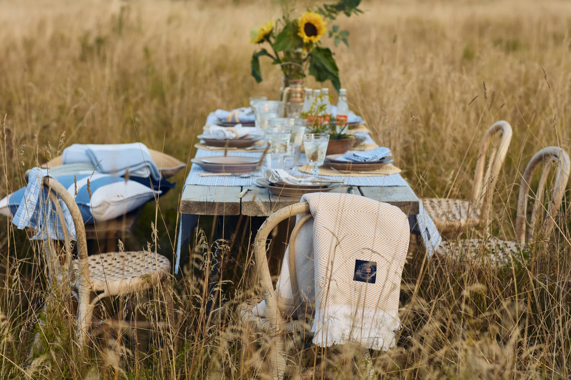 Federa in cotone Irregular Striped 50x50 cm, Blu-bianco Lexington