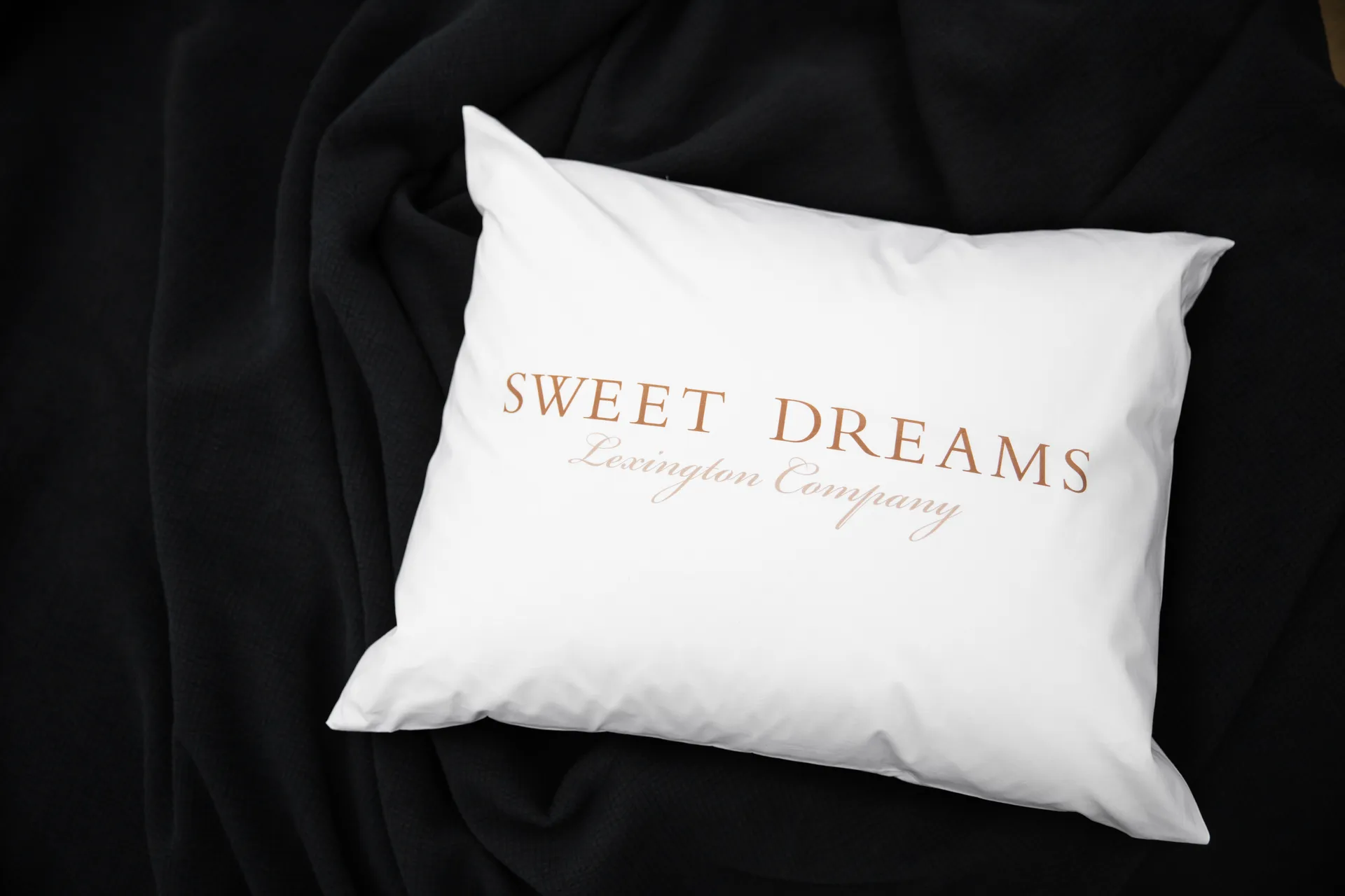 Federa in popeline stampata Sweet Dreams 50x60 cm, Bianco Lexington