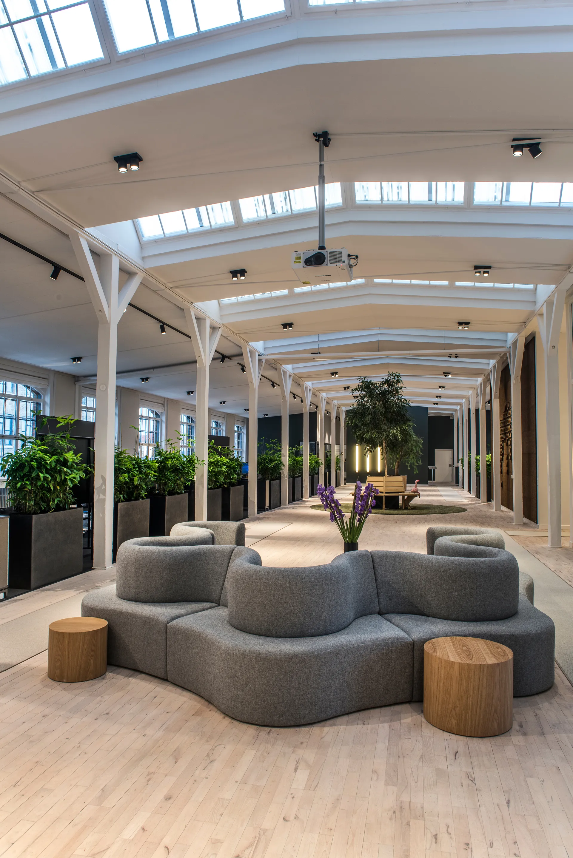 Focus 2 lampada da parete e soffitto switch tune, Black Light-Point