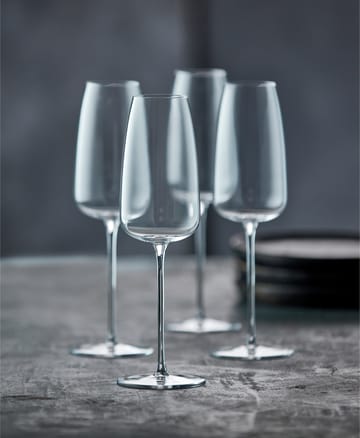 Bicchiere da champagne Veneto 36 cl, confezione da 2 - Clear - Lyngby Glas