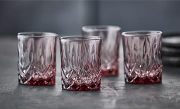Bicchiere per whisky Sorrento 32 cl, confezione da 4 - Pink - Lyngby Glas
