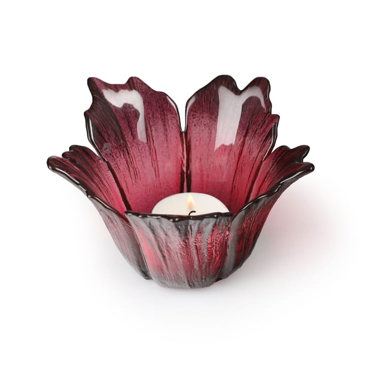 Lanterna Fleur Ø 14 cm - rosso-rosa - Målerås Glasbruk