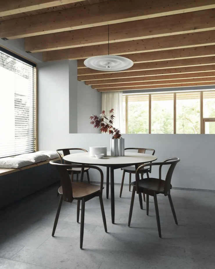 Sedia Icha, Faggio tinto noce Massproductions