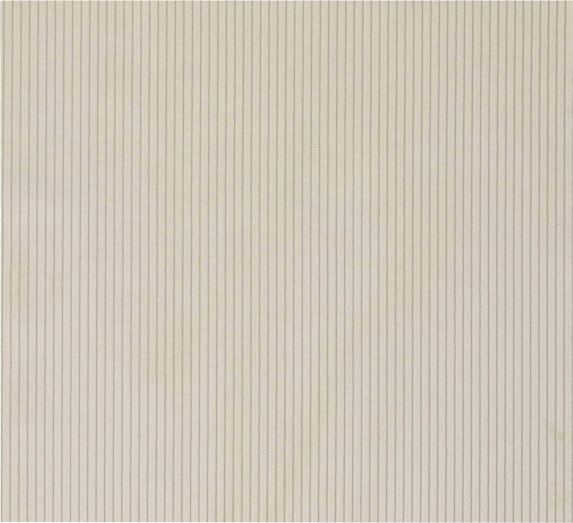 Campione di tessuto Jump, Off White 1954 Material Samples