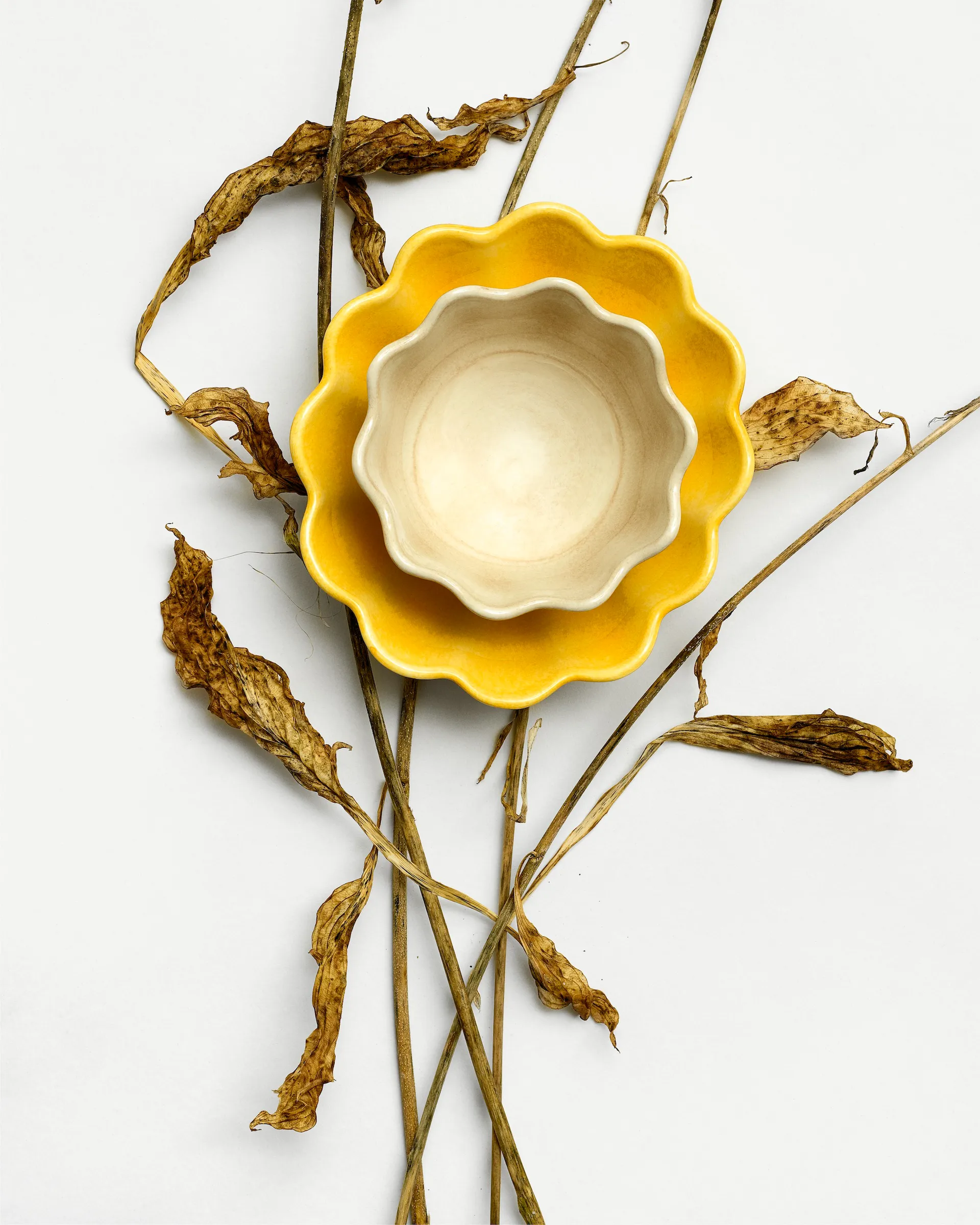 Ciotola Oyster Ø13 cm, Sand Mateus