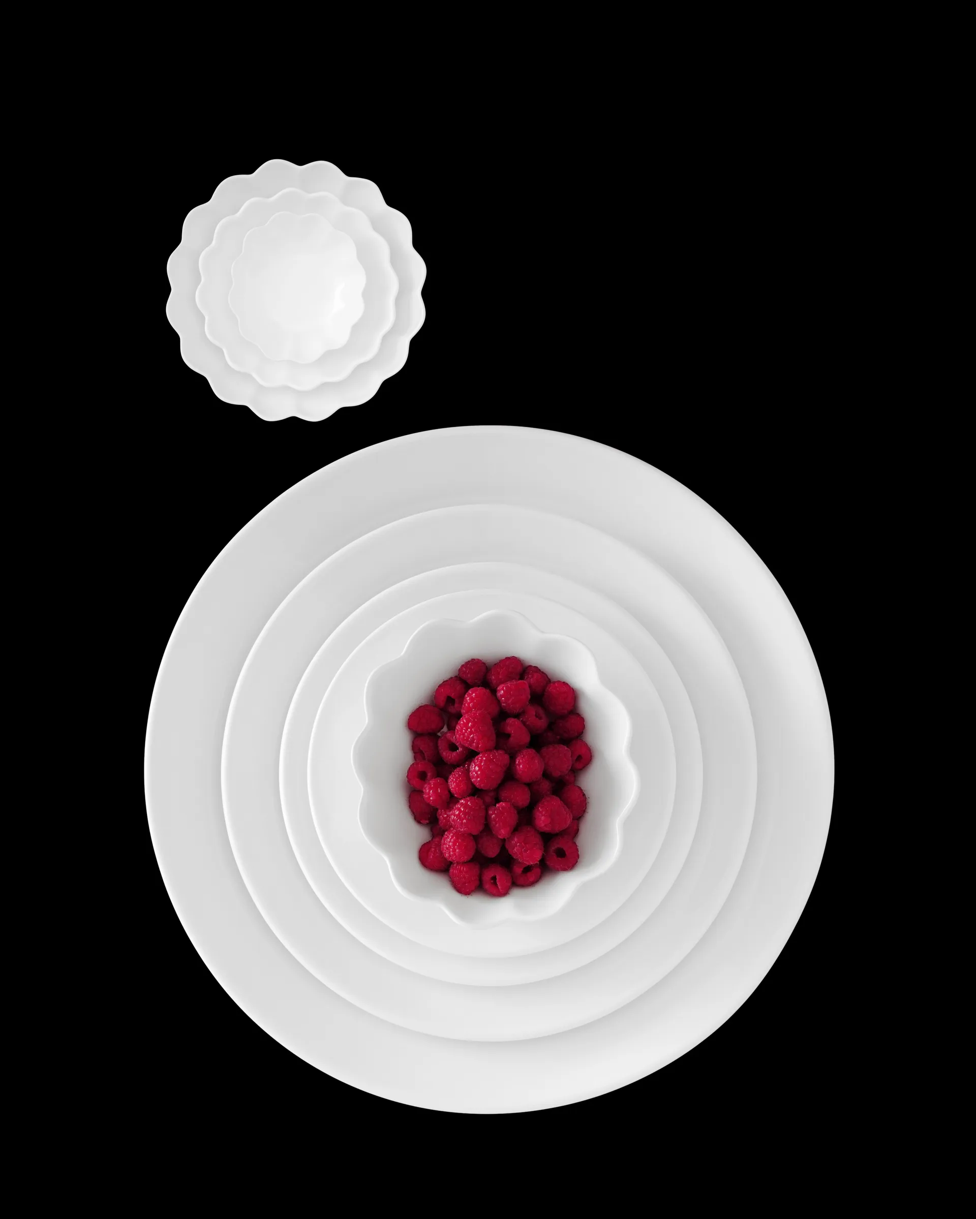 Ciotola Oyster 18x23 cm, Bianco Mateus