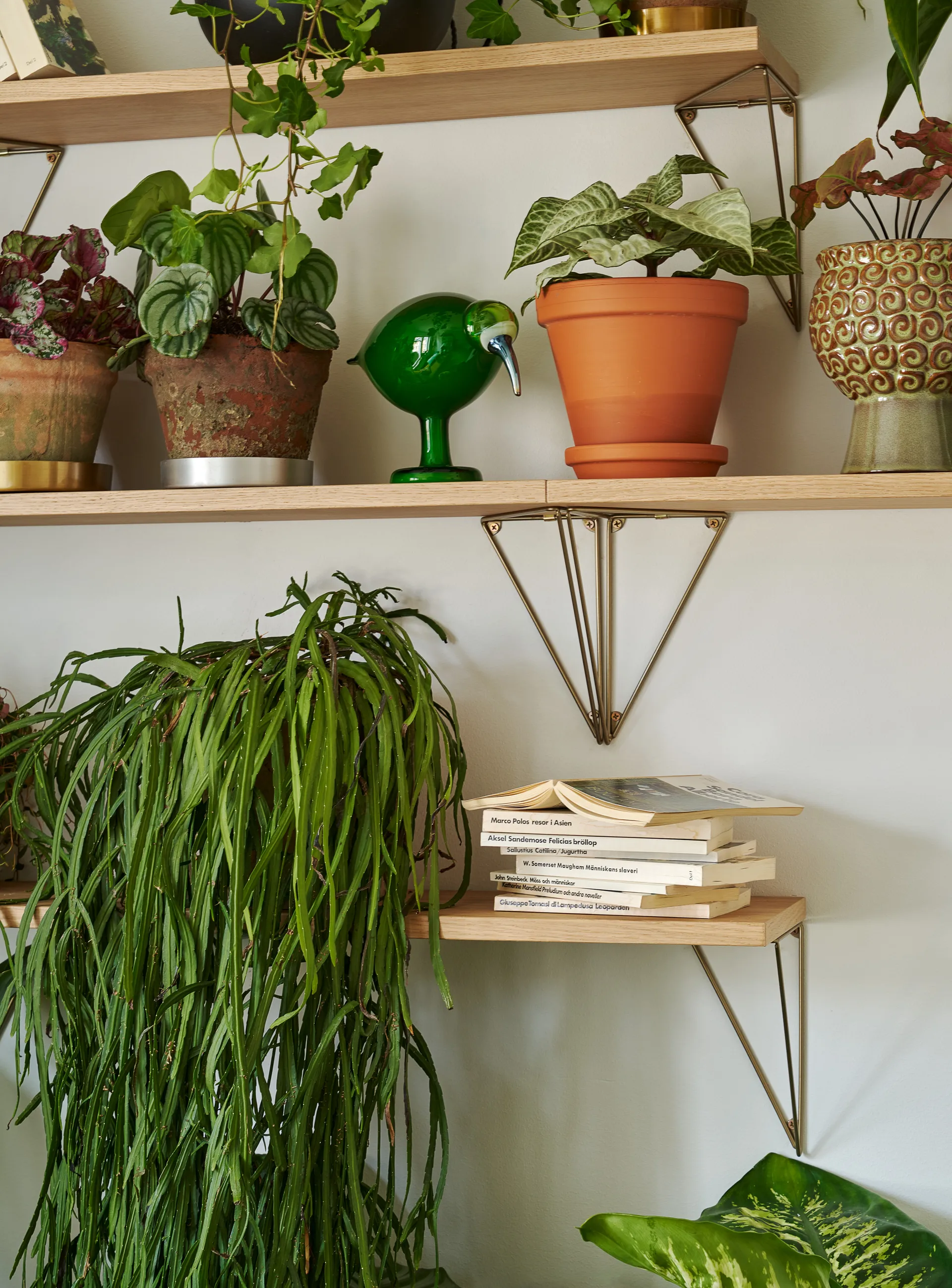 Mensola Pythagoras , rovere Maze