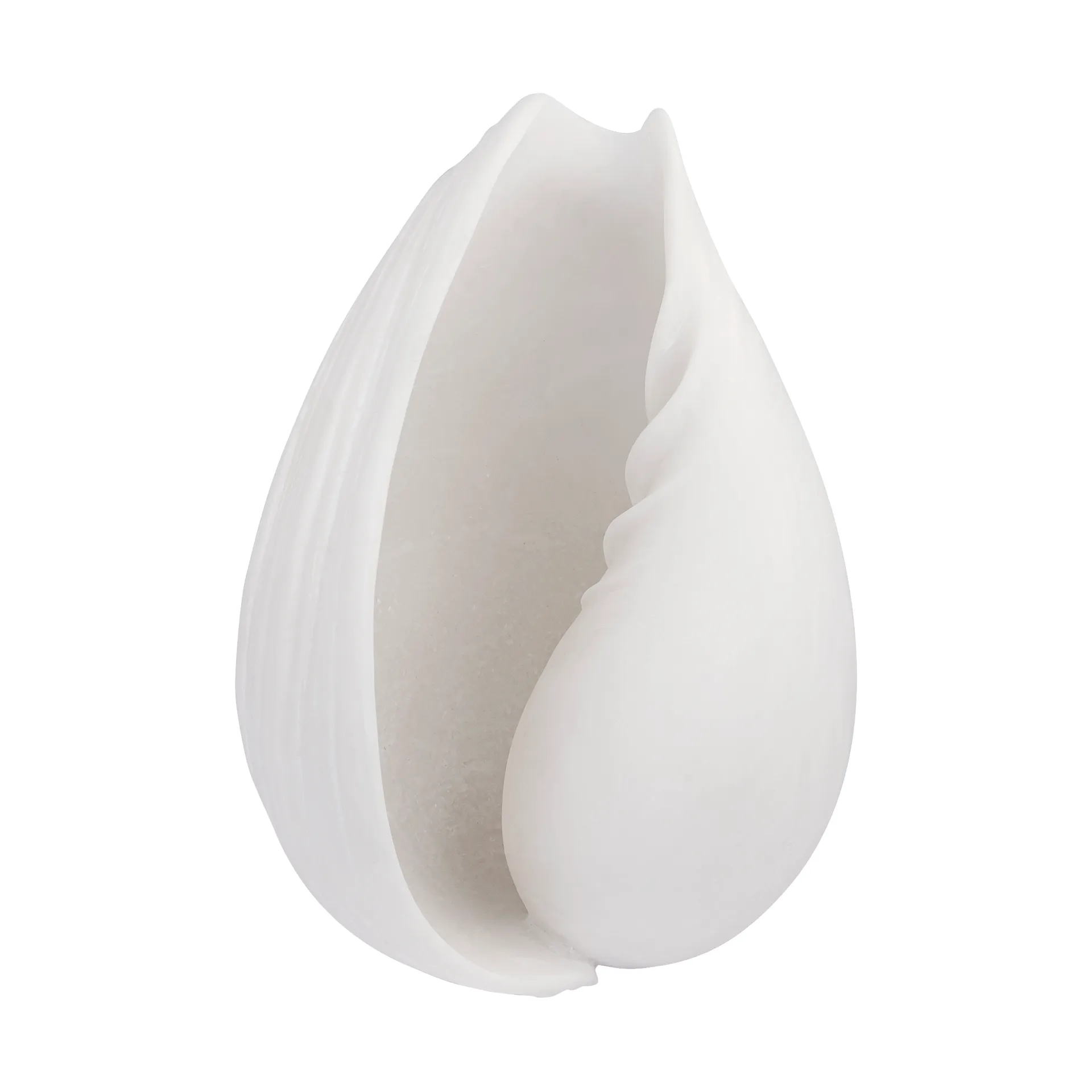 Conchiglia decorativa Conch, Piccola Mette Ditmer