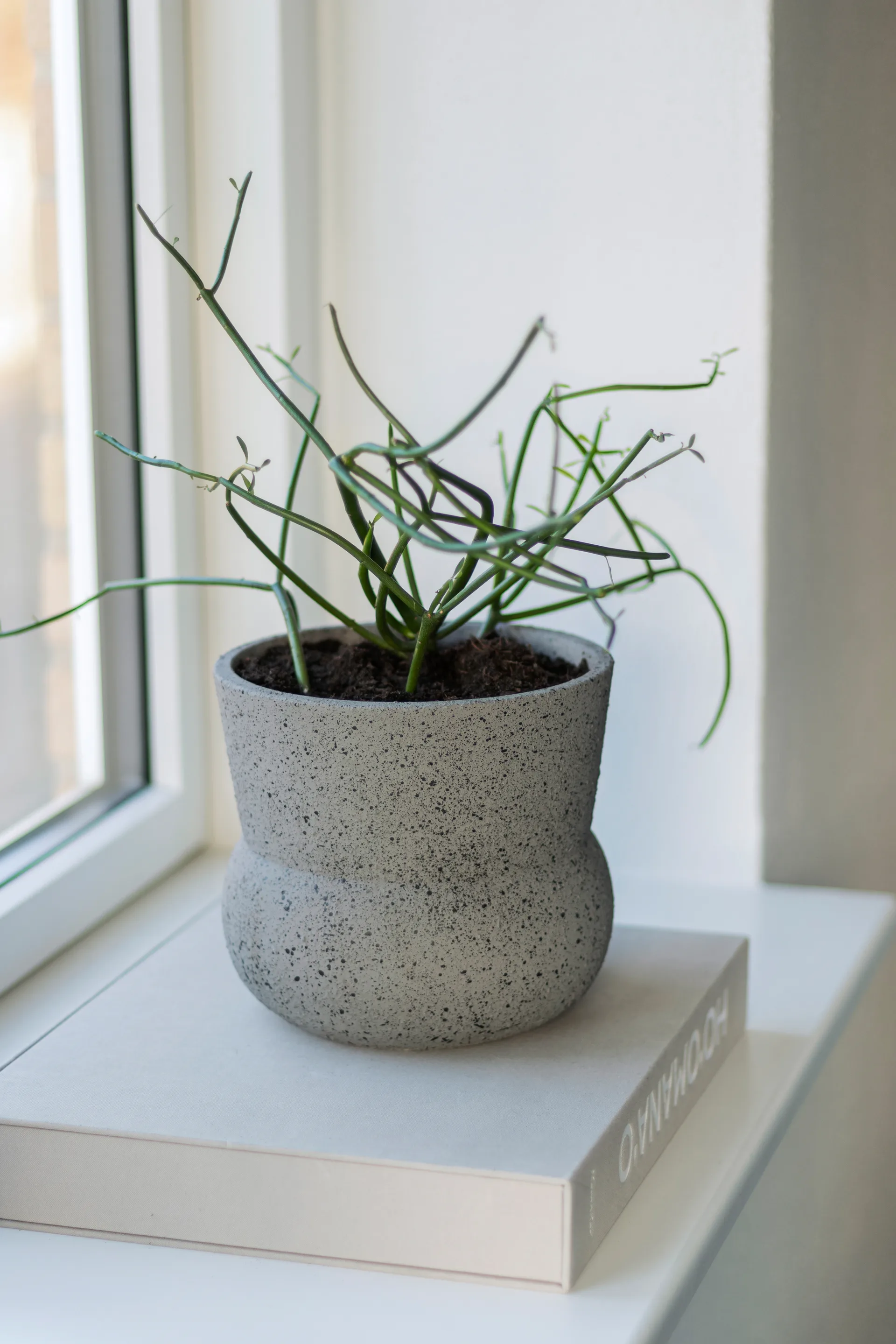 Vaso da fiori Stone Ø 17 cm, Grigio Mette Ditmer